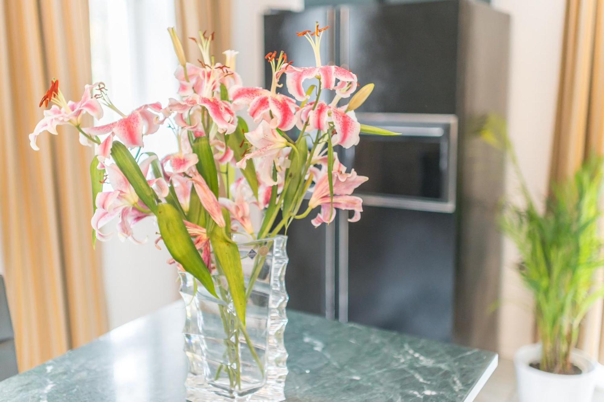 Charming Apartment With Terrace In Bad Schandau 55 Sqm Parking Luaran gambar
